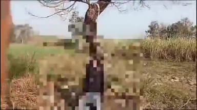 कसिया: खलवापट्टी में पेड़ पर फंदे से लटकता मिला युवक का शव, विधिक कार्रवाई में जुटी पुलिस