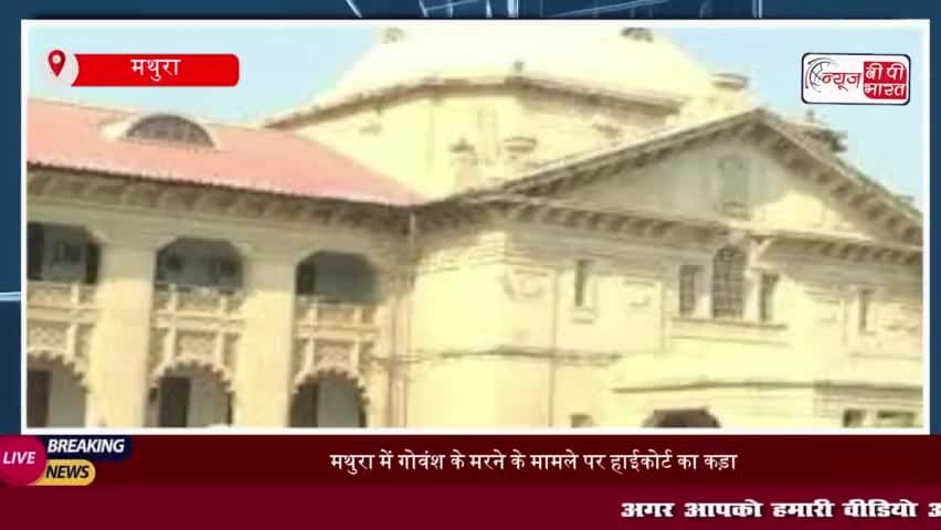 मथुरा में गोवंश के मरने के मामले पर हाईकोर्ट का कड़ा रुख, 3 मार्च तक रिपोर्ट पेश करने का दिया आदेश
#मथुरा #गोवंश