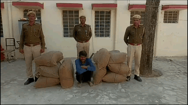 बस्सी: आंधी थाना पुलिस ने गेहूं व सरसों की फसल के आड़ में 5000 अफीम के पौधे लगाने के मामले में एक आरोपी को गिरफ्तार किया