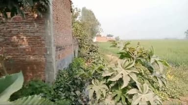 अमरिया: तहसील अमरिया क्षेत्र कैंचू टांडा में ग्रामीणों ने डीएम से सरकारी तालाब की जमीन और नाली पर अवैध कब्जे की शिकायत की