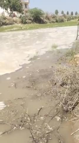 नारायण पुरा निबज्ज माईनर  टुटने से किसानों का खेत हुए खराब