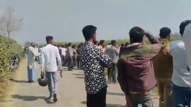 पूरनपुर: सुल्तानपुर गांव के नजदीक गन्ने के खेत में बाघ की चहलकदमी को लेकर उमड़ी लोगों की भीड़