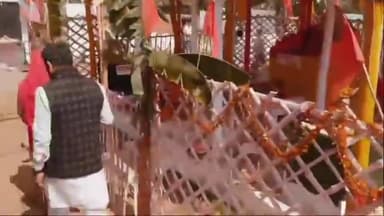 अमानगंज: बम्होरी ग्राम में निकाली गई शोभायात्रा, देवी की मूर्ति की होगी प्राण प्रतिष्ठा