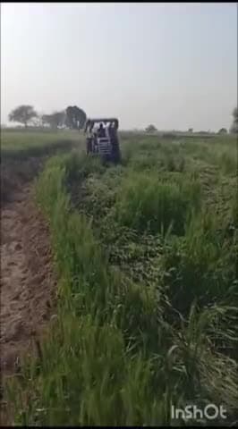 धौलपुर: कृपापुरा में प्रशासन ने 65 बीघा चारागाह जमीन को अतिक्रमण मुक्त कराया, फसल को किया खुर्दबुर्द