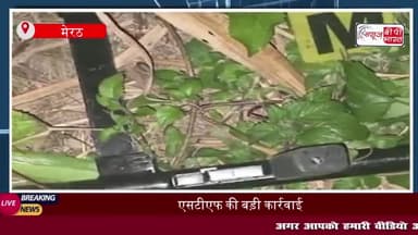 एसटीएफ की बड़ी कार्रवाई: मेरठ में 1 लाख के इनामी बदमाश को  किया ढेर
#एसटीएफ #मेरठ