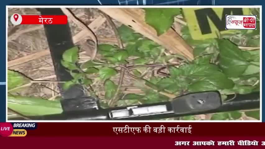 एसटीएफ की बड़ी कार्रवाई: मेरठ में 1 लाख के इनामी बदमाश को  किया ढेर
#एसटीएफ #मेरठ