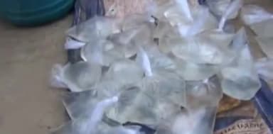 कुंडम: सदाफल में घर के सामने अवैध कच्ची शराब बेचते हुए एक व्यक्ति गिरफ्तार, 8 लीटर शराब जब्त