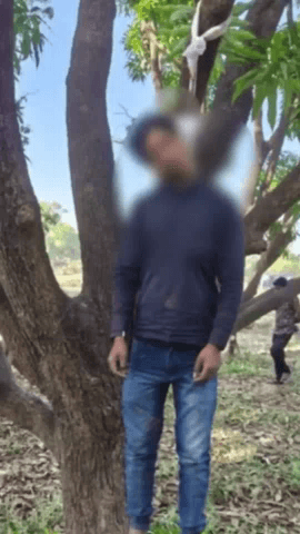 मोहनलालगंज: मोहनलालगंज के सिसेंडी गाँव में 19 वर्षीय युवक ने आम के पेड़ पर मफलर से फांसी लगाई, पुलिस जांच में जुटी