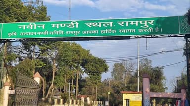 रामपुर: नवीन मंडी में बनाए गए गेहूं क्रय केंद्र, 1 मार्च से जनपद में 133 केंद्रों पर शुरू होगी गेहूं की खरीद