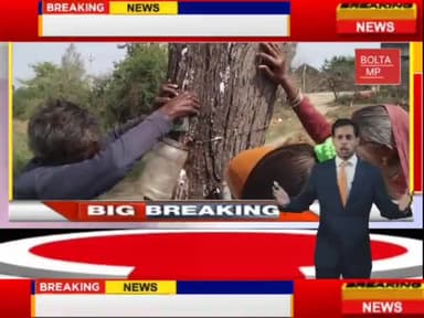 दतिया में  नीम के पेड़ से निकली दूध जैसी  धारा लोग भगवान मानकर पूजा करने लगे।@#@#