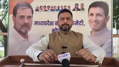 हुज़ूर: भोपाल: कांग्रेस प्रवक्ता अभिनव बरौलिया का आरोप, भाजपा ने किए कई पाप
