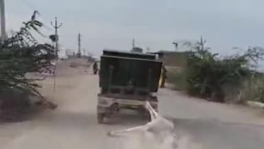 पीपलदा: खातोली कस्बे में मृतक गाय को कचरा वाहन से घसीटने का वीडियो सोशल मीडिया पर वायरल, हिंदू संगठनों ने जताया रोष