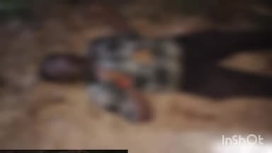 खकनार: बिजोरी गांव में खेत पर कार्य करते समय विद्युत तार की चपेट में आकर एक युवक की हुई मौत