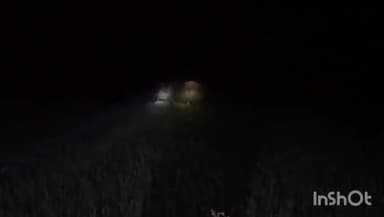 ब्यौहारी: शहरगढ़ में जंगली हाथियों का मूवमेंट, वन विभाग की टीम कर रही निगरानी