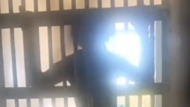 झुंझुनू: झुंझुनूं जेल में बंद बदमाश का वीडियो हुआ वायरल, क्षत्रिय गैंग की इंस्टाग्राम आईडी पर किया गया अपलोड