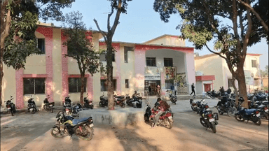 बेंगाबाद: पंडरी पंचायत के पलकियां गांव में हाथियों के झुंड ने डेरा डाला, ग्रामीणों ने वन विभाग से खदेड़ने को लेकर मांग की