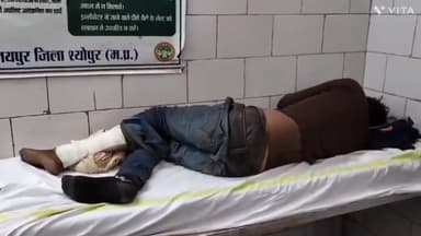 विजयपुर: सहसराम गांव में ट्रैक्टर की टक्कर से बाइक सवार दो लोग हुए घायल, ग्वालियर किया गया रेफर