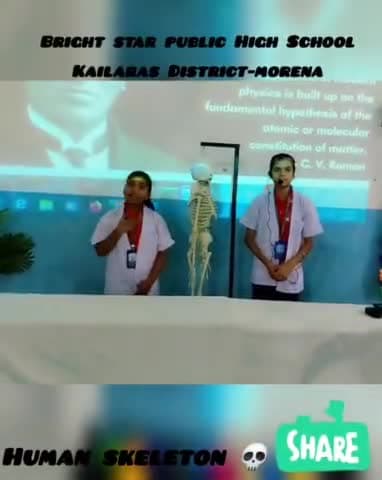 ✨🌍 Class 7 HUMAN SKELETON 🚀🌟

Our talented Class 7 students created an incredible explaination of