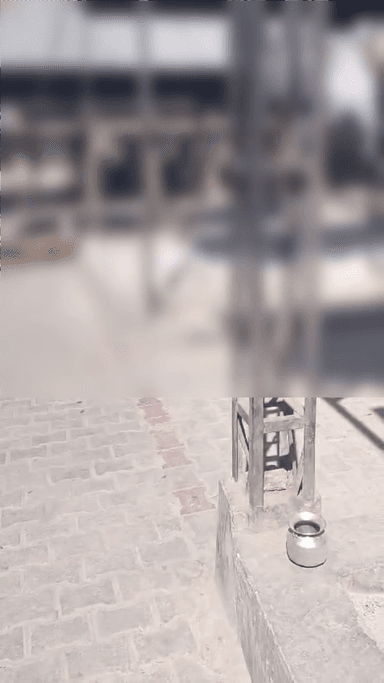 मेरठ: मेरठ के सूरजकुंड शमशान घाट में लाशों की बेकद्री का वीडियो हुआ वायरल, चिता से टुकड़े खींचकर ले गया कुत्ता