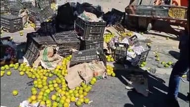 झांसी: शिवपुरी रक्सा हाइवे पर संतरे से भरा ट्रक पलटा, सड़क पर गिरे संतरे की लूट की सूचना पर पुलिस सुरक्षा में पहुंची