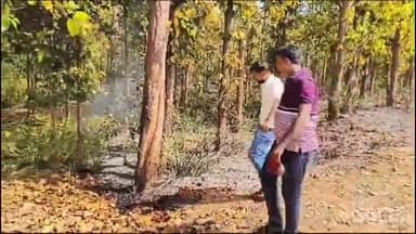 সারেঙ্গা: খামানির জঙ্গলে আগুন নেভানোর কাজে হাত লাগালেন সারেঙ্গার বিডিও ও ব্লক সহ কৃষি অধিকর্তা