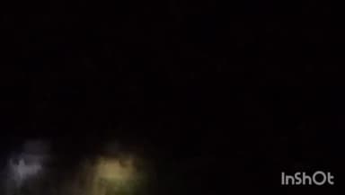 ब्यौहारी: ब्यौहारी वन परिक्षेत्र में जंगली हाथियों का हो रहा विचरण, वन विभाग कर रहा निगरानी