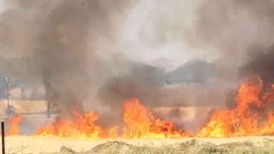 झाबुआ: खवासा में खेत में लगी आग, गेहूं की फसल जलकर हुई राख