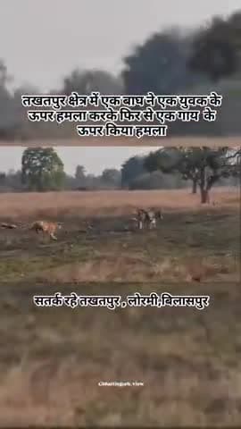 gram Panchayat Kuan jharoda mein Sher ka kahar savdhan rahen satk rahe