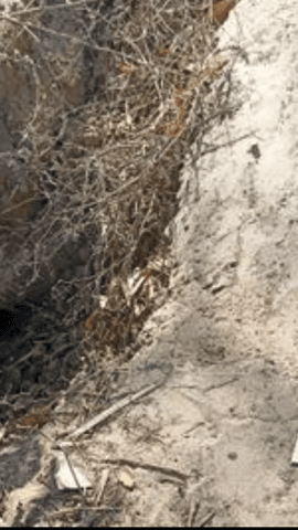 मोहनलालगंज: गोसाईगंज के रामबाग मार्ग का हाल बेहाल, सड़क पर बने गड्ढों से स्कूली बच्चों और किसानों को परेशानी, दुर्घटना का बढ़ा खतरा