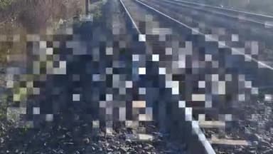 बाबई: ग्राम बागड़ातवा के समीप ट्रेन से कटकर 23 वर्षीय युवक की हुई मौत, पुलिस ने मर्ग किया कायम