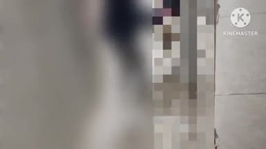 लोहरदगा: सरना टोली बलसोता के पास हाइवा की चपेट में आने से एक महिला की मौत