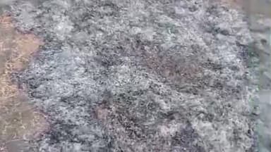 रामगंजमण्डी: बोरदी गांव में अज्ञात बदमाशों ने खेत में थ्रेसिंग के लिए रखी चने की फसल में लगाई आग, किसान को लाखों का नुकसान