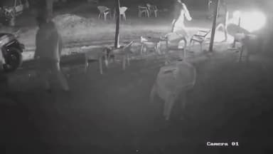 झुंझुनू: गुढ़ागौड़जी में कैंपर सवार बदमाशों ने मोटर गैराज में जमकर तोड़फोड़ की, CCTV फुटेज आया सामने