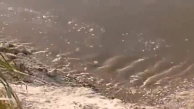 फैज़ाबाद: सरयु नदी के कटान से मदरहिया गांव के वजूद पर संकट, 80 घरों के लोग कटान से हो रहे प्रभावित