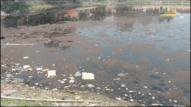 बेंगाबाद: बड़वाड़ीह मानसरोवर तालाब के पास पेड़ काटने के मामले में डीएफओ ने कार्रवाई का आश्वासन दिया