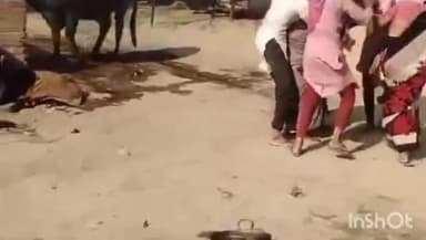 छिबरामऊ: तालग्राम के कलकतापुरवा गांव में पुरानी रंजिश के चलते महिलाओं ने घर में घुसकर एक महिला को पीटा, वीडियो हुआ वायरल