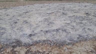 मोरवा: सरायरंजन: हलई थाना क्षेत्र के पचभिण्डा में तोड़ी की फसल को उपद्रवियों ने जलाया, किसान विमल प्रसाद सिंह ने दर्ज कराई प्राथमिकी