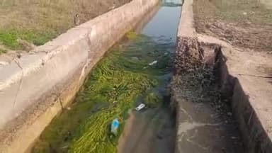 पीपलदा: इटावा क्षेत्र में नहरी पानी की किल्लत, टेल तक पानी नहीं पहुँचने से किसान परेशान, सिंचाई विभाग नहीं दे रहा ध्यान