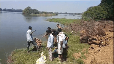 अकलतरा: कोटमीसोनार गांव के पुरोहित तालाब में जाल के जरिए 11 मगरमच्छों को पकड़ा गया, क्रोकोडाइल पार्क में छोड़ा गया