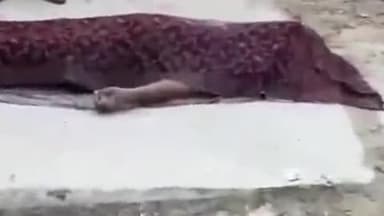 कानपुर: घर से नाराज होकर बीटेक छात्र ने गंगा बैराज से लगाई छलांग, हुई मौत