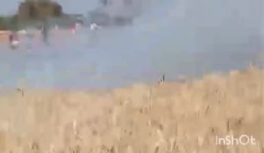 गुना नगर: कोन्याकला गांव में खेत में खड़ी गेहूं की फसल में लगी आग, दमकल विभाग नहीं पहुंचा, ग्रामीणों ने मुश्किल से पाया काबू