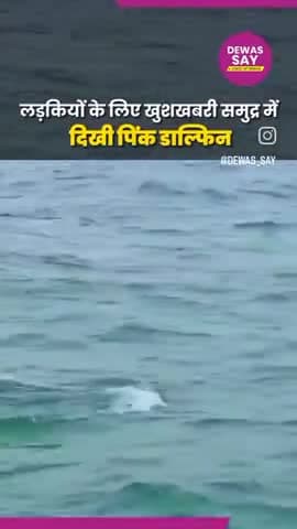 Duniya ki pahli pink whale dekhi gayi ganga nadi me #Amezing #2025 #video #viral