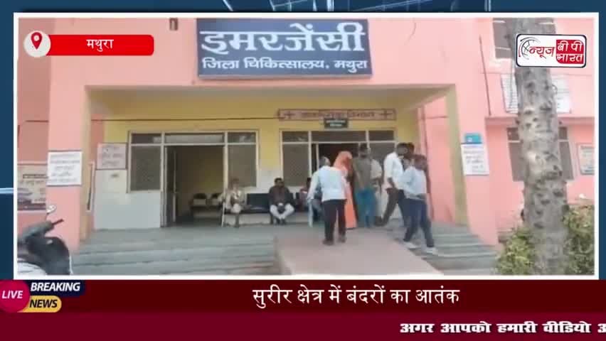 सुरीर क्षेत्र में बंदरों का आतंक, ग्रामीणों ने तहरीर देकर की कार्रवाई की मांग
#सुरीर #क्षेत्र #बंदरों #आतंक