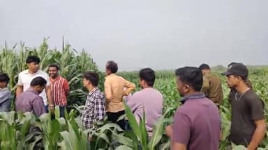 कुरसाकांटा: होली के दिन पुलिस ने दो दिनों से लापता युवक को खोजने के लिए मकई खेत में की छानबीन, नहीं मिला कोई सुराग