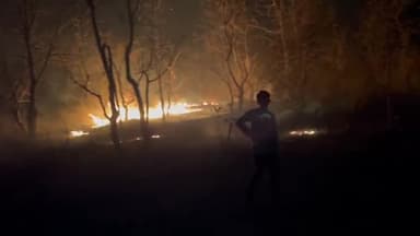 झाबुआ: हवाई पट्टी के पास जंगल में लगी भीषण आग, कारण अज्ञात