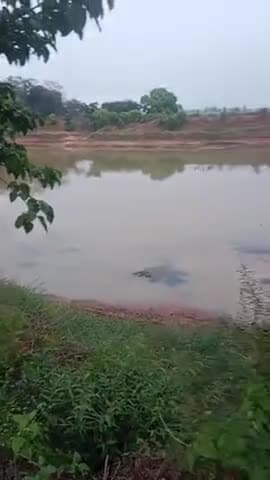 CG इंद्रावती नदी सूख चुका है उड़ीसा डैम में बढ़ने के कारण किसानों को हो रहा परेशानी #trending #viral #reels