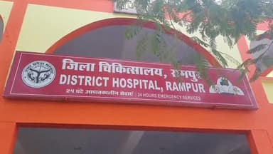 रामपुर: दोमेहला रोड के पास ज़हरीले कीड़े के काटने से एक युवक की हुई मौत