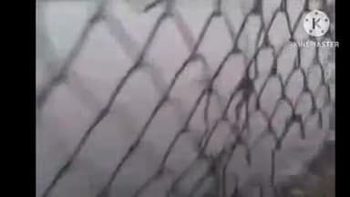 हुज़ूर: भोपाल के शाहपुरा तालाब में सैकड़ों मछलियाँ मरीं, ऑक्सीजन की कमी से हुई मौत, विशेषज्ञों का कहना है - तालाब में नाले मिलने से समस्या