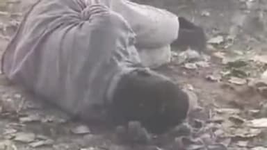 सांगोद: मोईकलां कस्बे में श्मशान घाट रोड पर एक शख्स पर मधुमखियों के हमले का वीडियो सोशल मीडिया पर हुआ वायरल