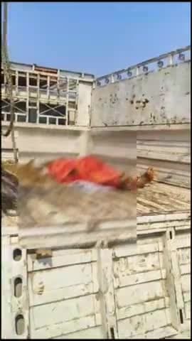 बिश्रामपुर: गुरहा कला फोरलेन कोयल नदी पुल पर ट्रक और टेम्पू की टक्कर, एक महिला की मौत, चार घायल